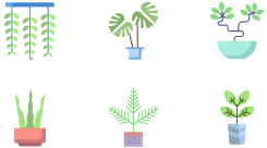 plant Iconos