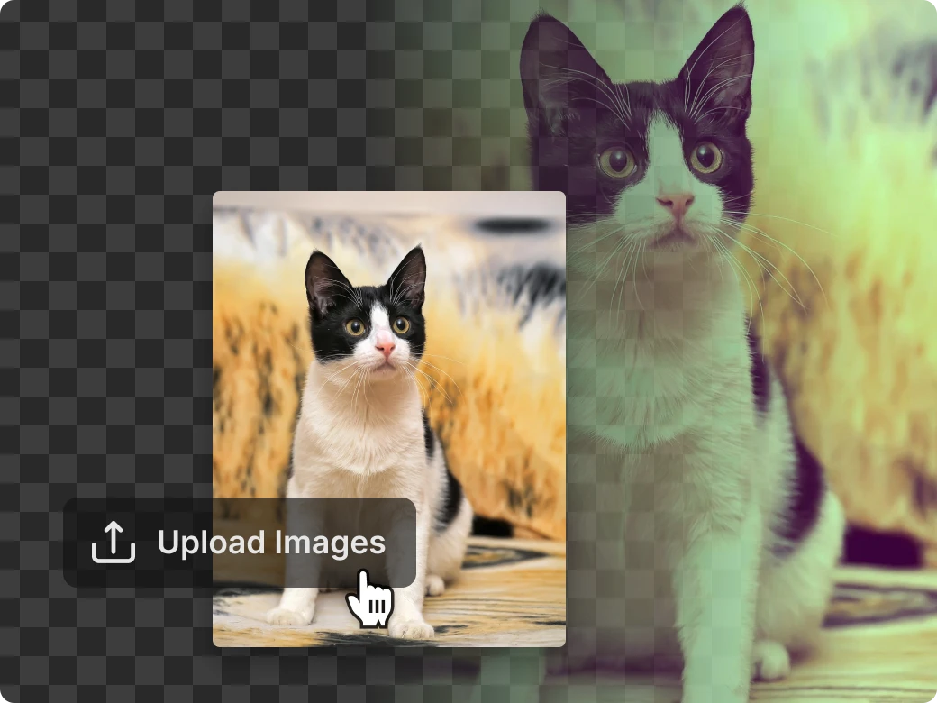 How to add filters to your photos