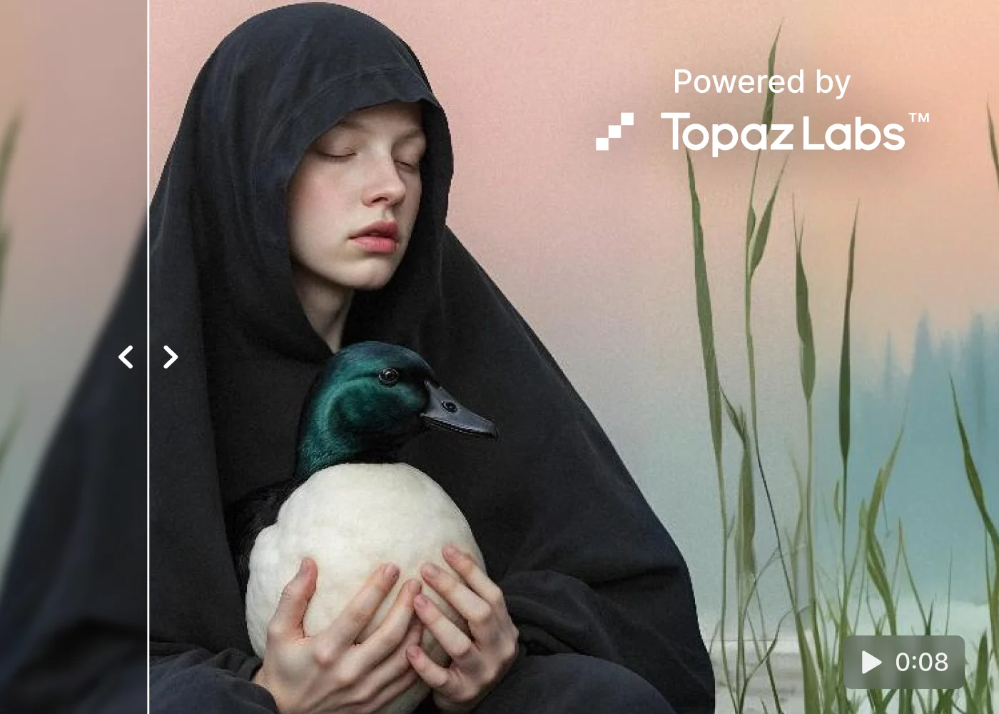Topaz: ostre, płynne i stabilne skalowanie wideo